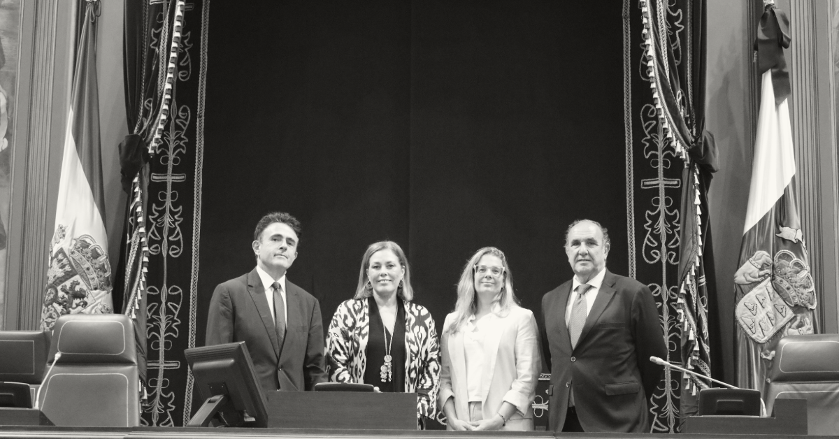 El control constitucional es una de las garantías prácticas de los controles al poder.